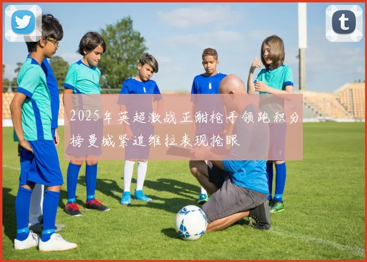 2025年英超激战正酣枪手领跑积分榜曼城紧追维拉表现抢眼